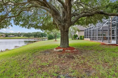 2091 Diamond Court Oldsmar FL 34677