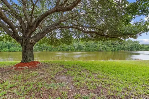 2091 Diamond Court Oldsmar FL 34677