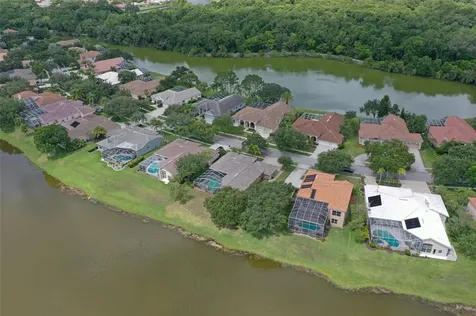 2091 Diamond Court Oldsmar FL 34677