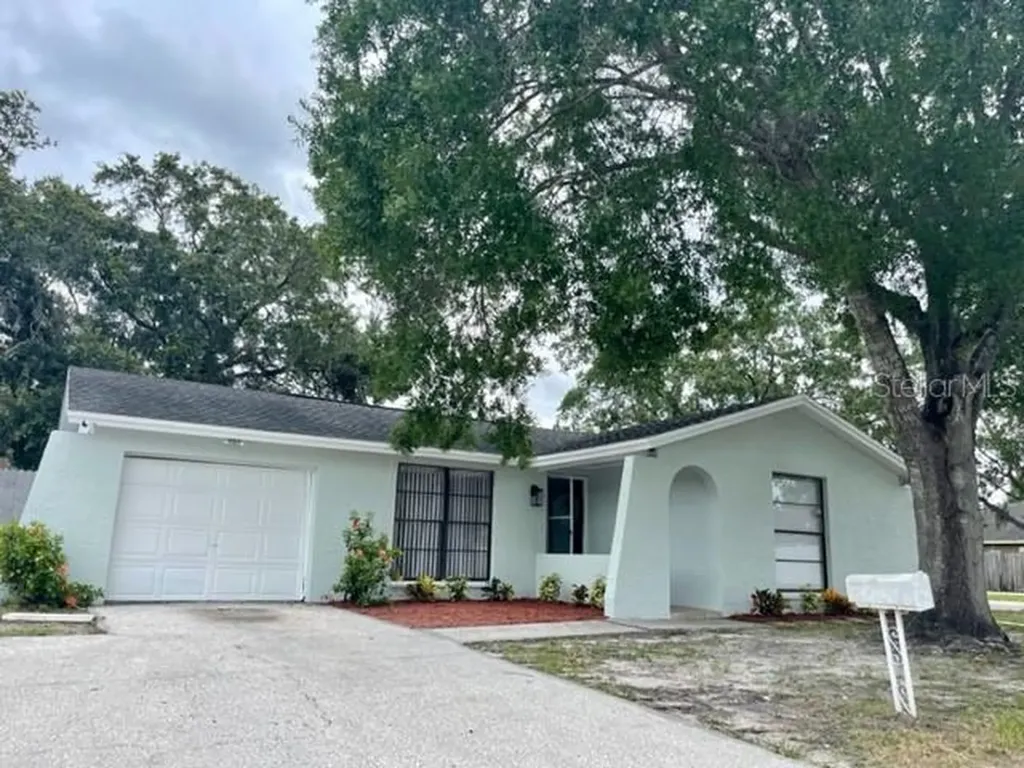 10301 Orchard Hills Court Tampa FL 33615