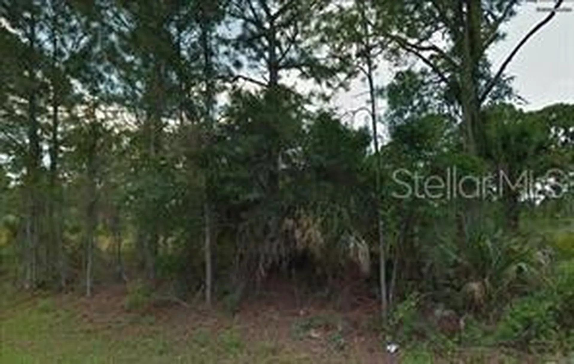 Jacaranda Avenue North Port FL 34291