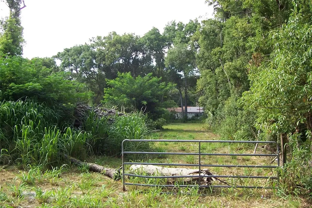 Grant Avenue Eustis FL 32726