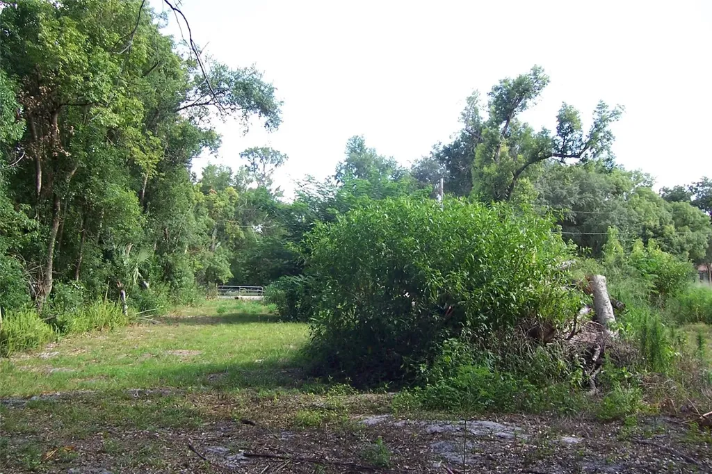 Grant Avenue Eustis FL 32726