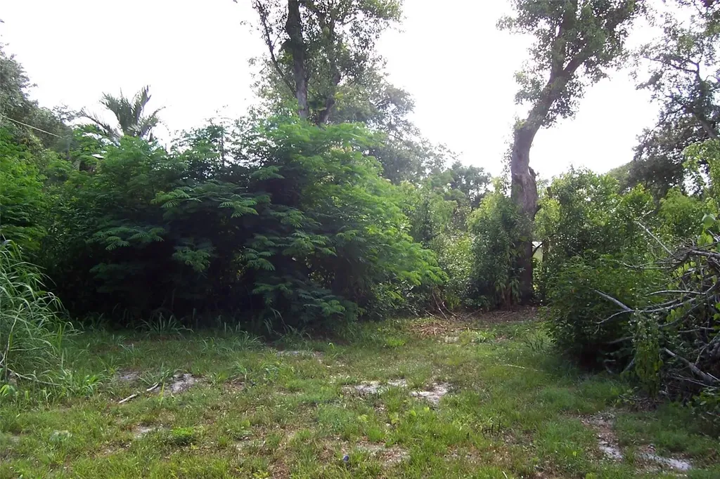 Grant Avenue Eustis FL 32726