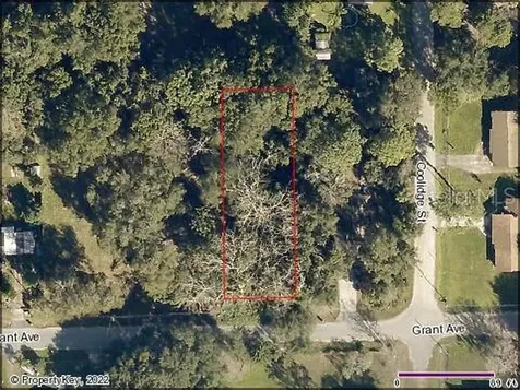 Grant Avenue Eustis FL 32726
