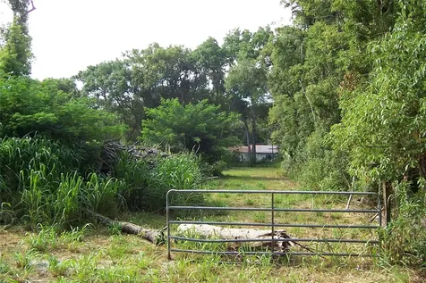 Grant Avenue Eustis FL 32726
