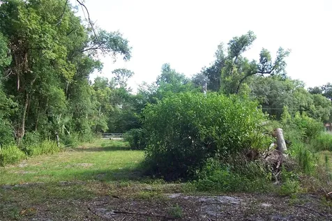 Grant Avenue Eustis FL 32726