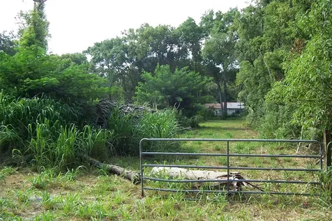 Grant Avenue Eustis FL 32726