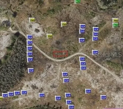9765 Little Bluestem Drive Land O Lakes FL 34637