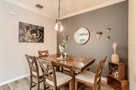 1009 Better Days Place Valrico FL 33594