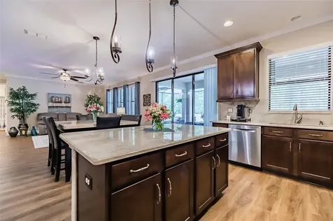 2597 Calvano Drive Land O Lakes FL 34639