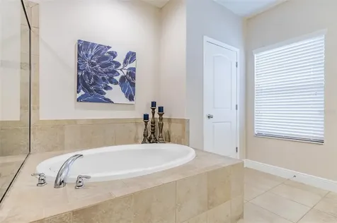 2597 Calvano Drive Land O Lakes FL 34639