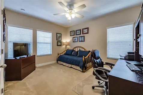 2597 Calvano Drive Land O Lakes FL 34639