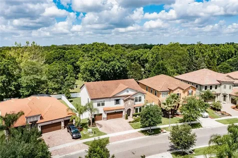 2597 Calvano Drive Land O Lakes FL 34639