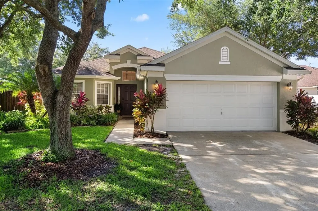 19133 Dove Creek Drive Tampa FL 33647