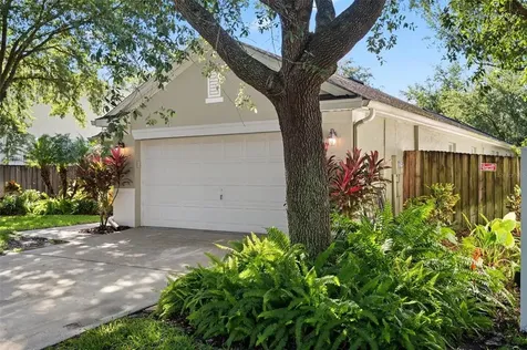 19133 Dove Creek Drive Tampa FL 33647