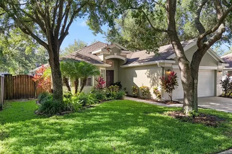 19133 Dove Creek Drive Tampa FL 33647