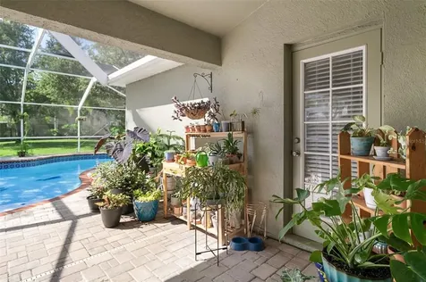 19133 Dove Creek Drive Tampa FL 33647