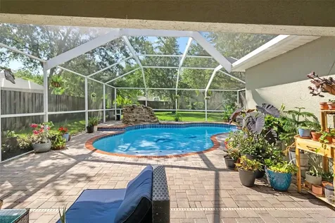 19133 Dove Creek Drive Tampa FL 33647