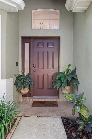 19133 Dove Creek Drive Tampa FL 33647