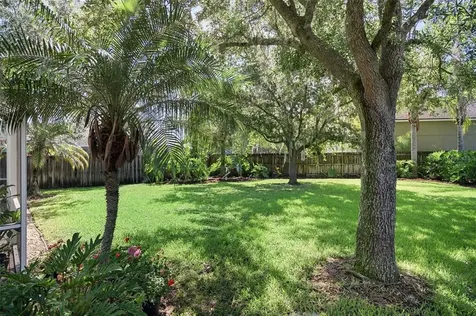19133 Dove Creek Drive Tampa FL 33647