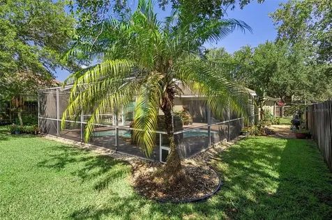 19133 Dove Creek Drive Tampa FL 33647