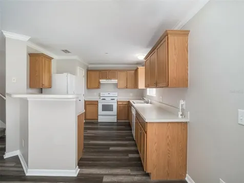 10908 Golden Silence Drive Riverview FL 33579