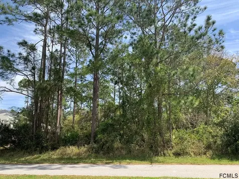 10 Zonal Geranium Court Palm Coast FL 32164