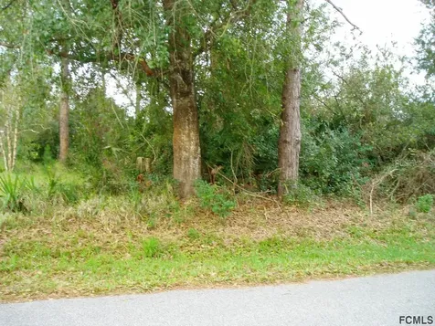 36 White Hall Drive Palm Coast FL 32164