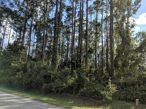 67 Bradmore Lane Palm Coast FL 32137