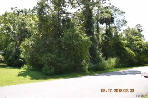 36 Round Thorn Drive Palm Coast FL 32164