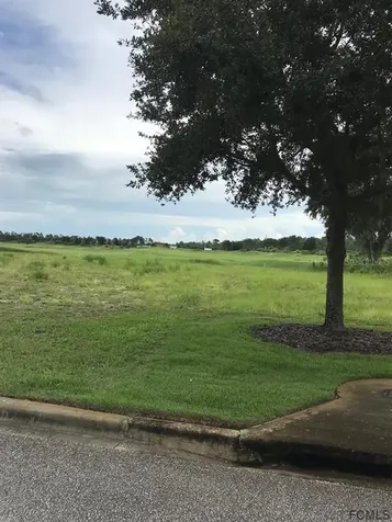 217 Conservatory Drive Palm Coast FL 32137
