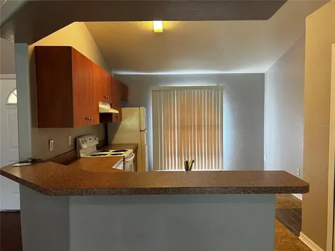 316 Dogfish Court Kissimmee FL 34759