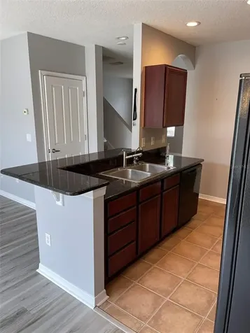 11509 Fountainhead Drive Tampa FL 33626