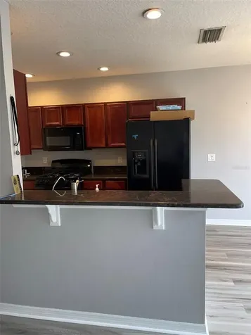 11509 Fountainhead Drive Tampa FL 33626
