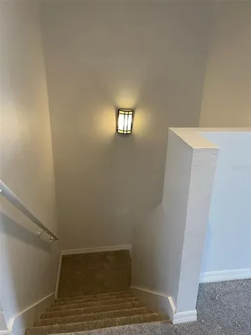 11509 Fountainhead Drive Tampa FL 33626