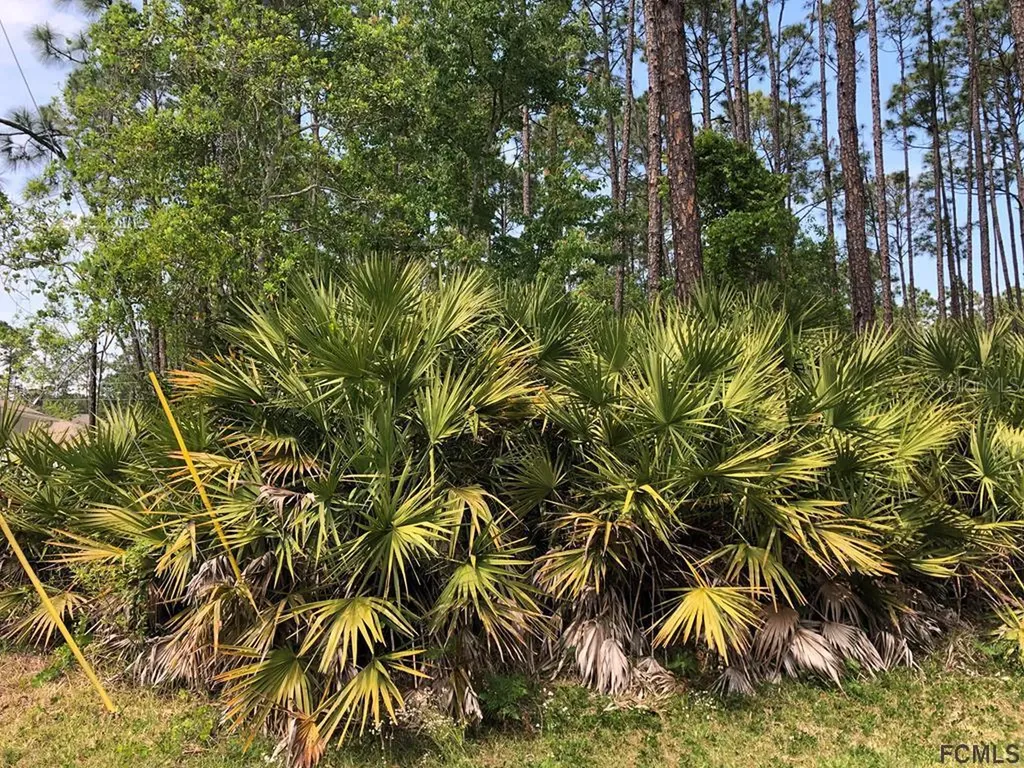 29 Porwyn Lane Palm Coast FL 32164