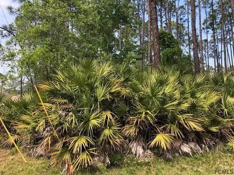 29 Porwyn Lane Palm Coast FL 32164