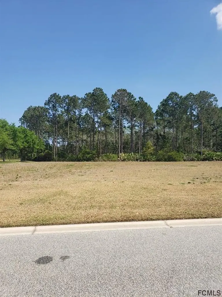 237 Conservatory Drive Palm Coast FL 32137