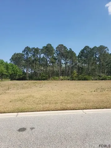 237 Conservatory Drive Palm Coast FL 32137
