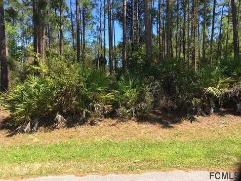 20 Lake Charles Lane Palm Coast FL 32137