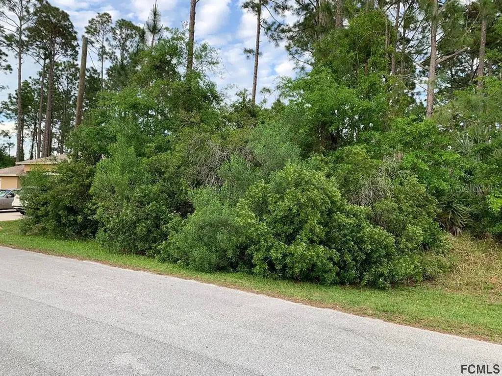 66 Bressler Lane Palm Coast FL 32137