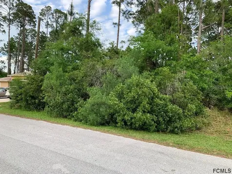 66 Bressler Lane Palm Coast FL 32137