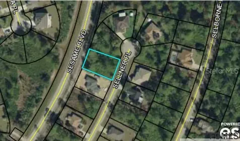 13 Sellner Place Palm Coast FL 32164