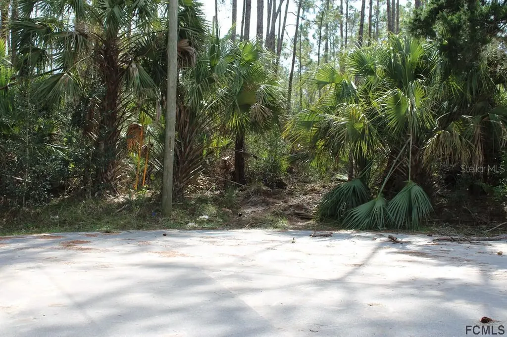 14 Poinfield Place Palm Coast FL 32164