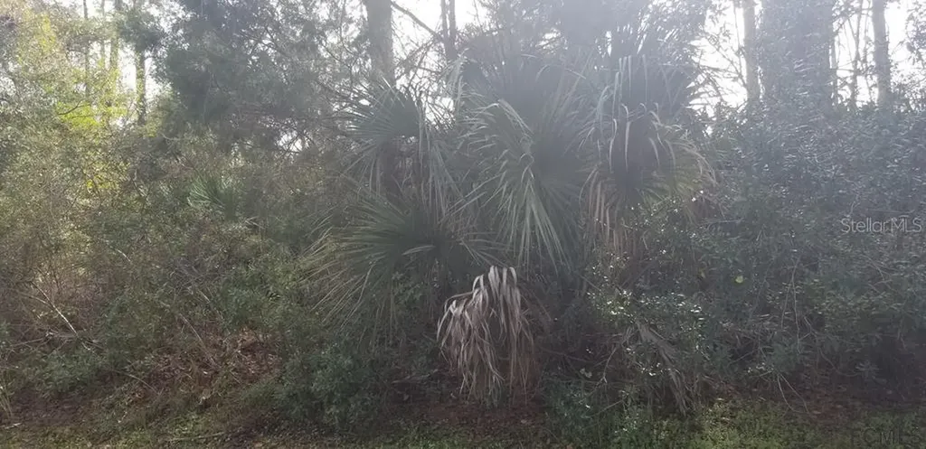 64 Riverina Drive Palm Coast FL 32164