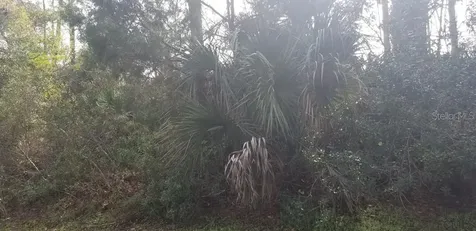64 Riverina Drive Palm Coast FL 32164