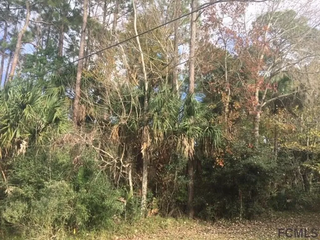 58 Poplar Drive Palm Coast FL 32164