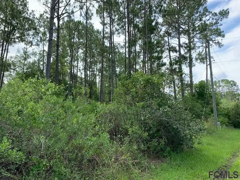 13 Reidsville Drive Palm Coast FL 32164