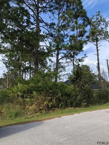 3 Warren Place Palm Coast FL 32164